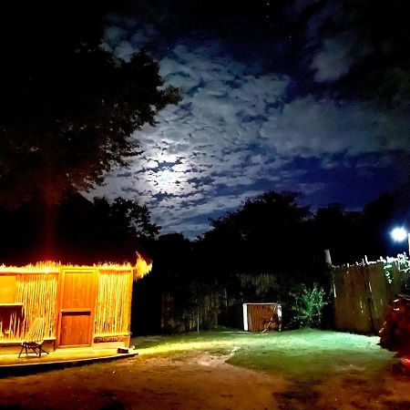 ホテル Tulum Nueve エクステリア 写真