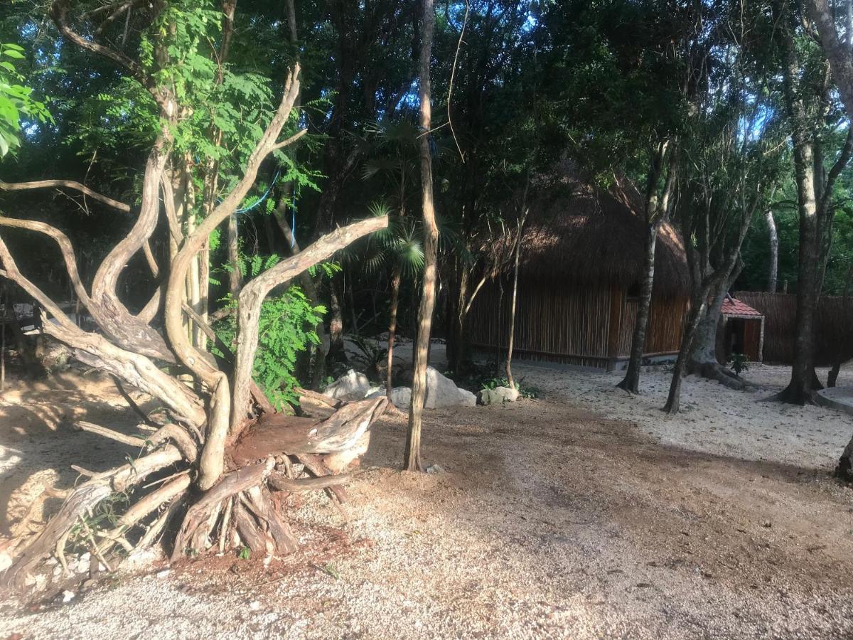 ホテル Tulum Nueve エクステリア 写真