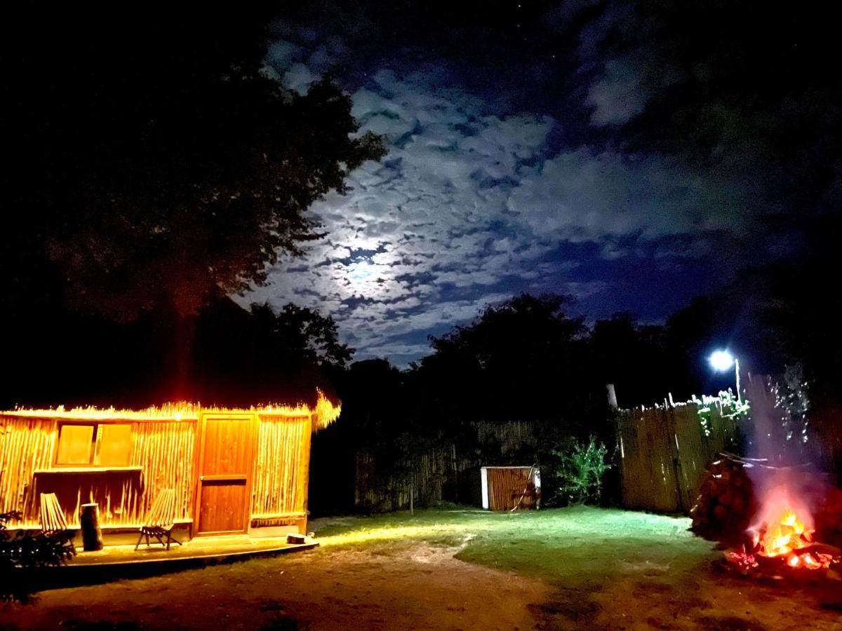 ホテル Tulum Nueve エクステリア 写真