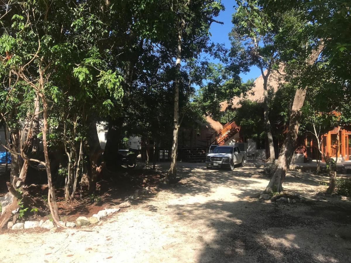 ホテル Tulum Nueve エクステリア 写真