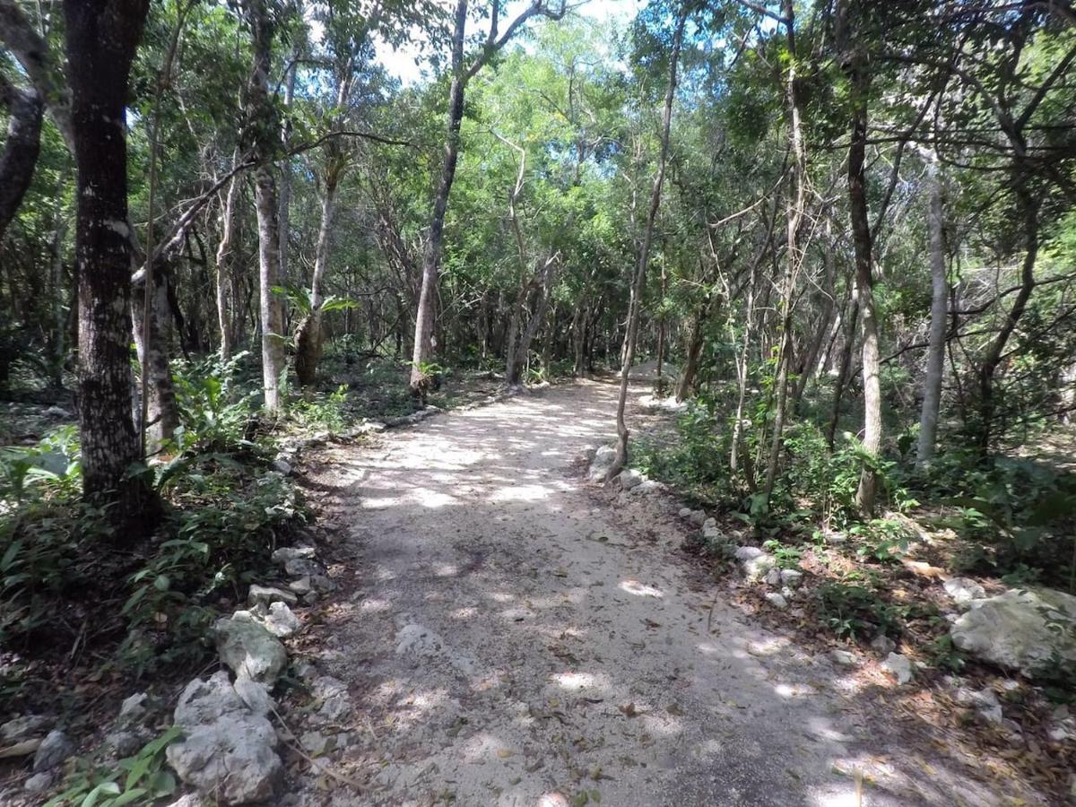 ホテル Tulum Nueve エクステリア 写真