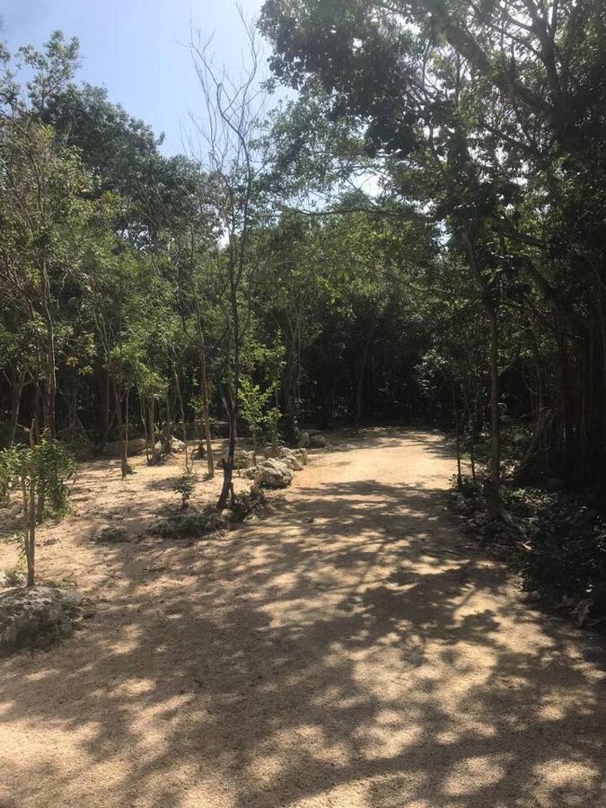 ホテル Tulum Nueve エクステリア 写真