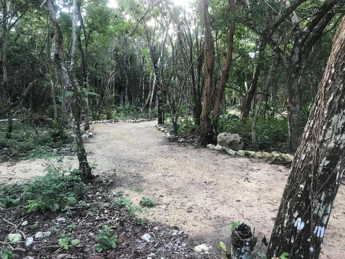 ホテル Tulum Nueve エクステリア 写真